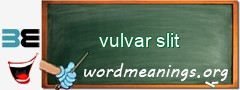 WordMeaning blackboard for vulvar slit